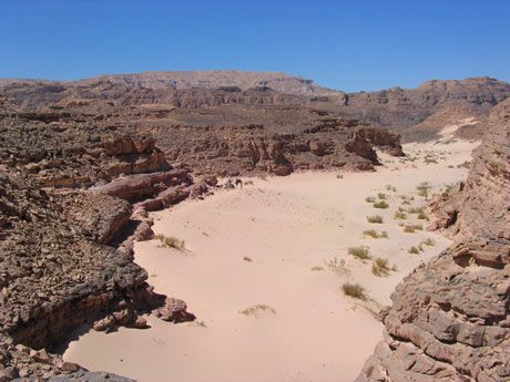 Canyon in der Wüste Sinai