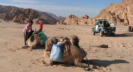 For emergencies: Jeep by the Bedouins