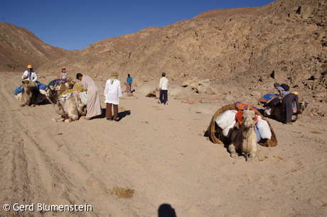 Egypt_329